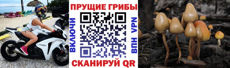 Галлюциногенные грибы мухоморы  Среднеколымск 